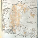BRO-04-BOG-13-P Longford