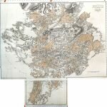BRO-04-BOG-28-P Mayo