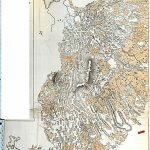 BRO-04-BOG-29-P Mayo